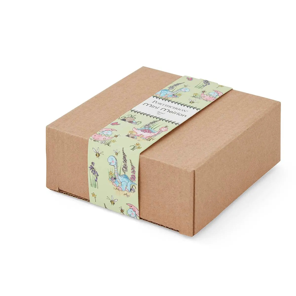 Mini Meirion Bowl - Dino