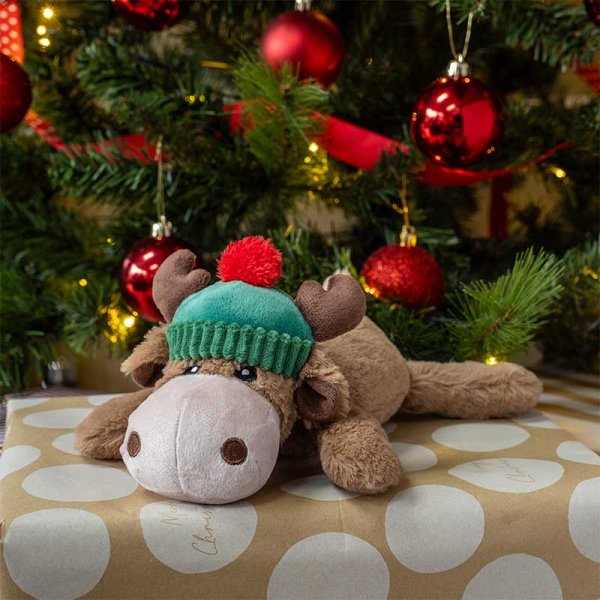 Dog Toy - Rudy PlayPal
