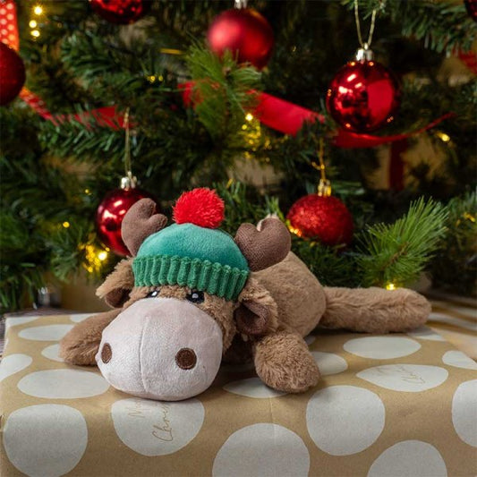 Dog Toy - Rudy PlayPal