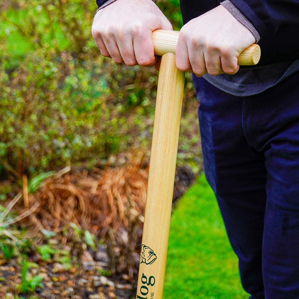Bulldog Bulb Planter - 152mm Head