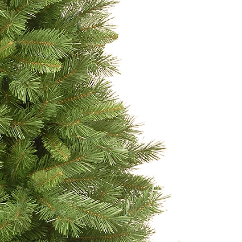 Premier Winchester Pine Tree 1.8m