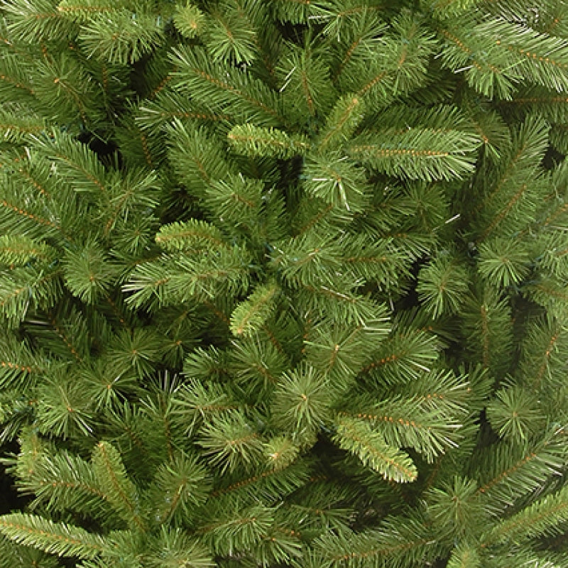 Premier Winchester Pine Tree 1.8m