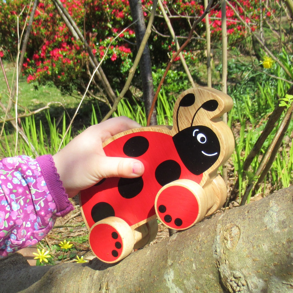 Insideout Toys - Lanka Kade - Ladybird push along
