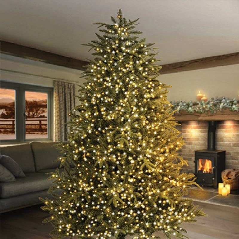 Premier 500 M-A LEDs TreeBrights with Timer White -Warm White Mix
