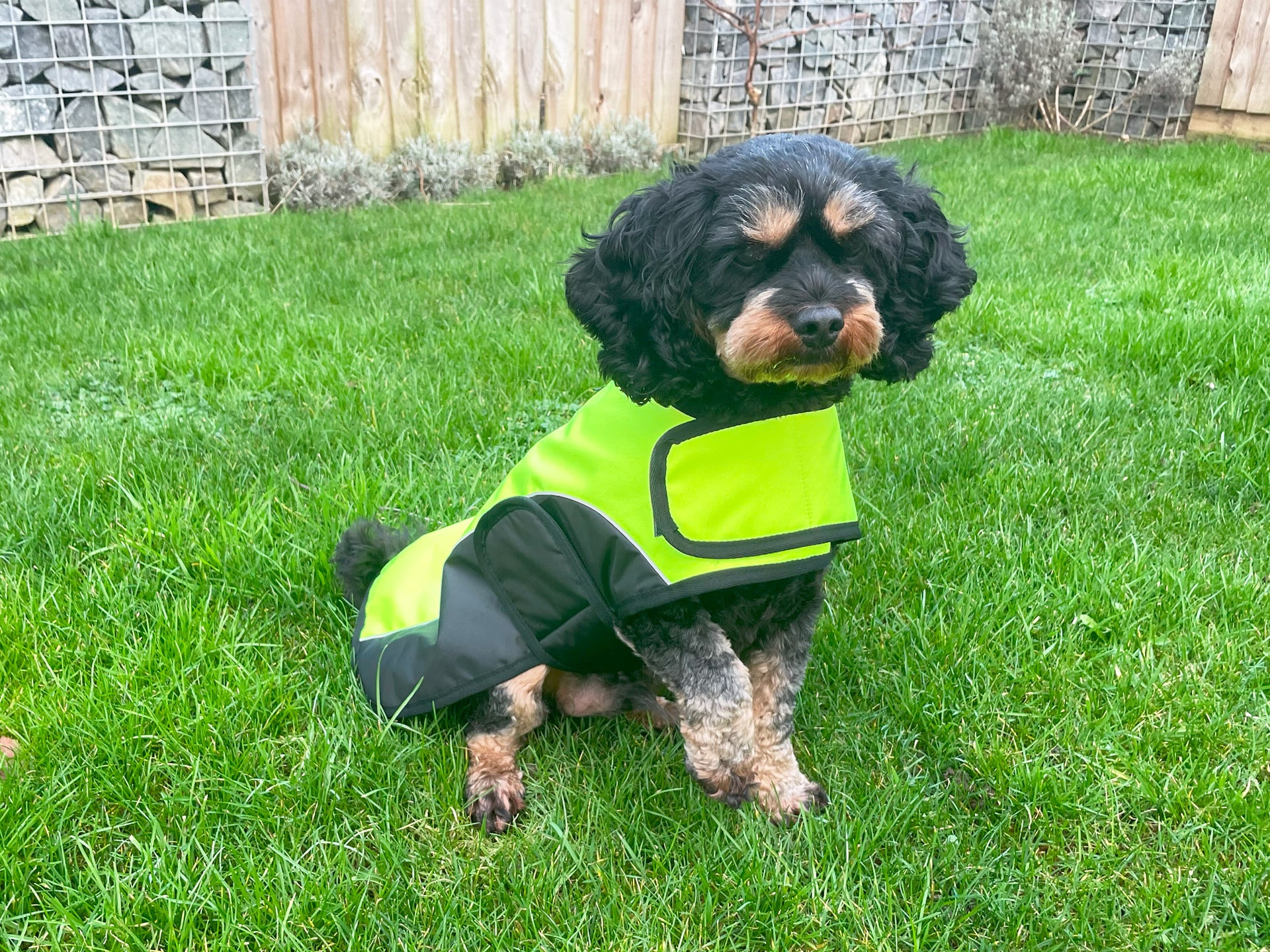 Happy Pet Hi-Vis Dog Jacket - Main Image
