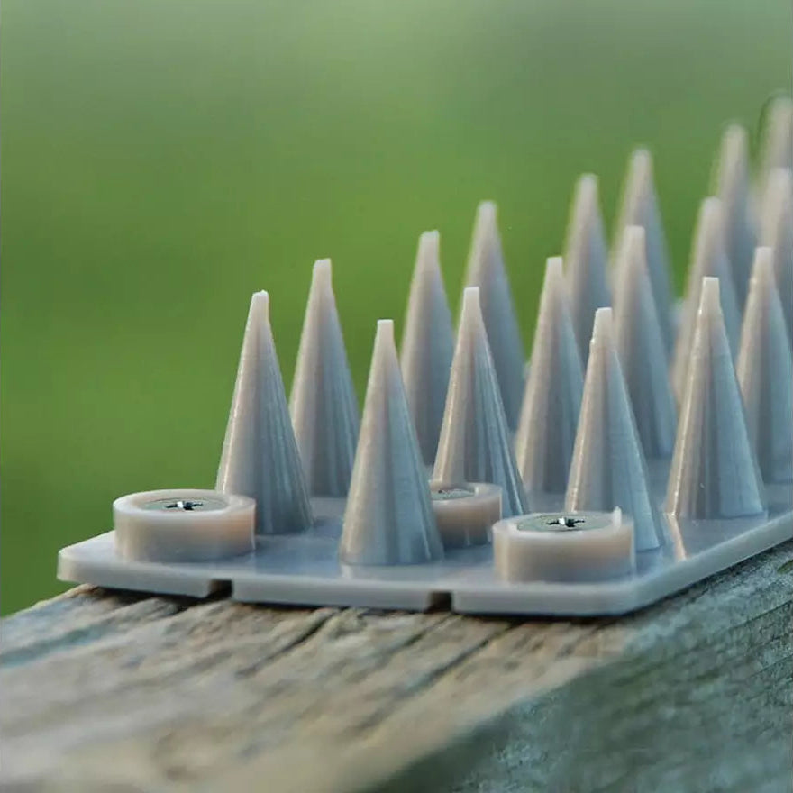 The Big Cheese Cat Stop Fence Toppers
