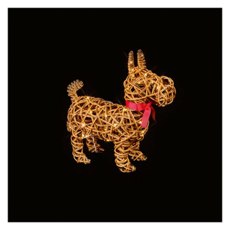 Premier 35cm battery operated lit woven dog figure with red scarf and warm white LED lights displayed outdoors on lawn