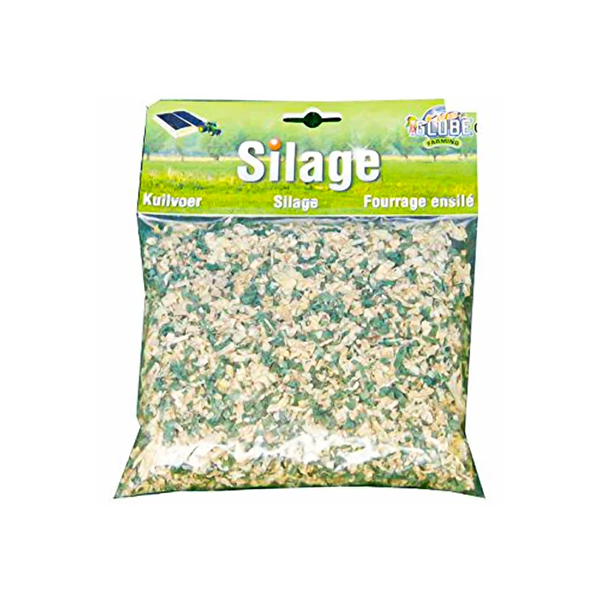 Kids Globe Bag of Silage 100g