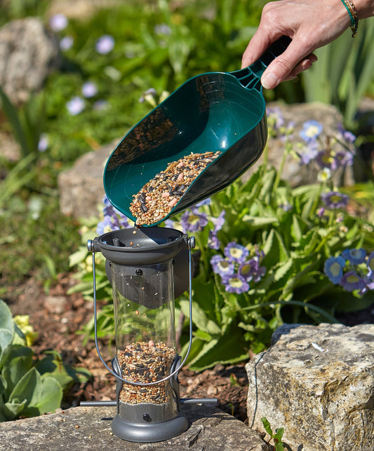 Tom Chambers Seed n Feed Scoop