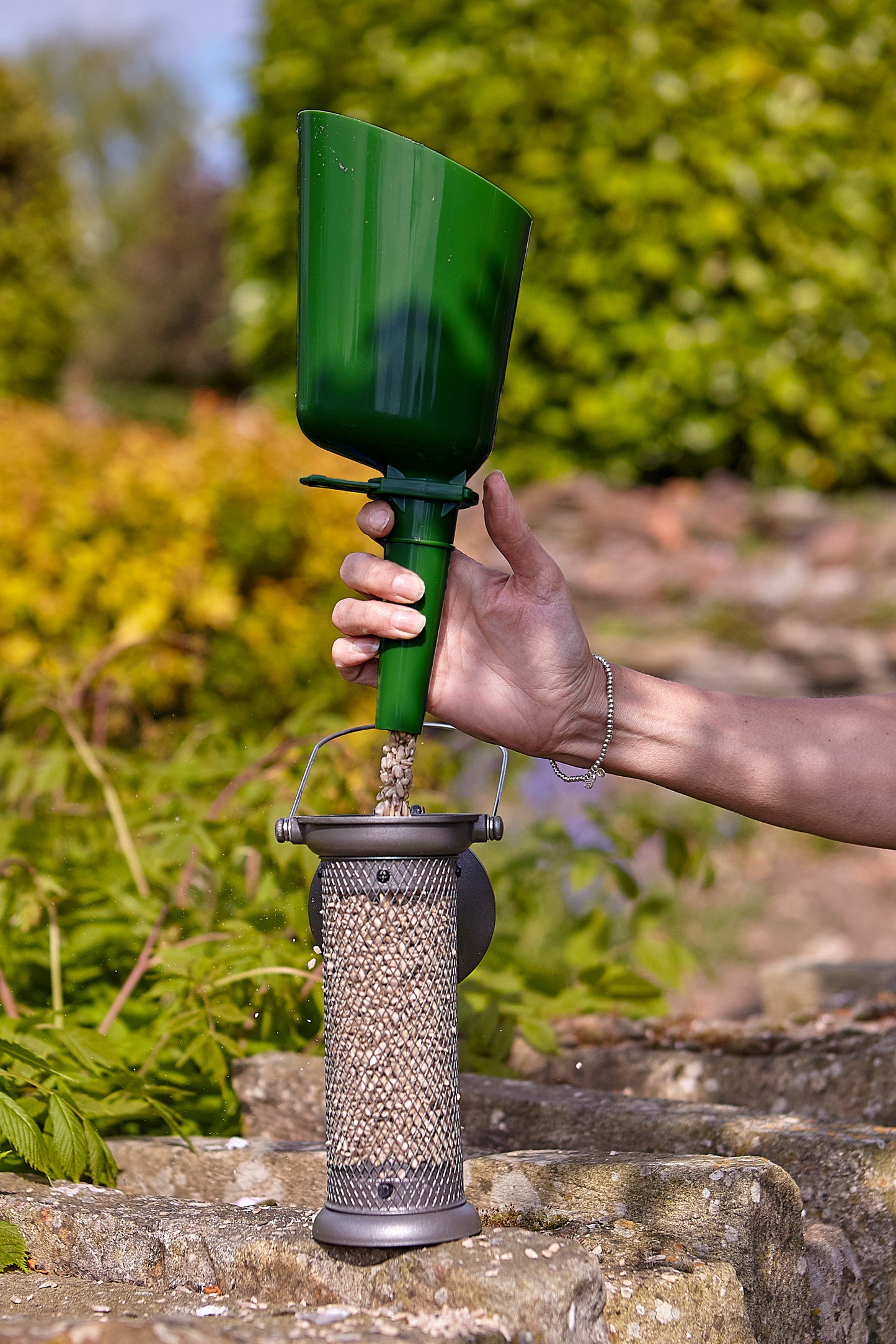 Tom Chambers Seed Scoop