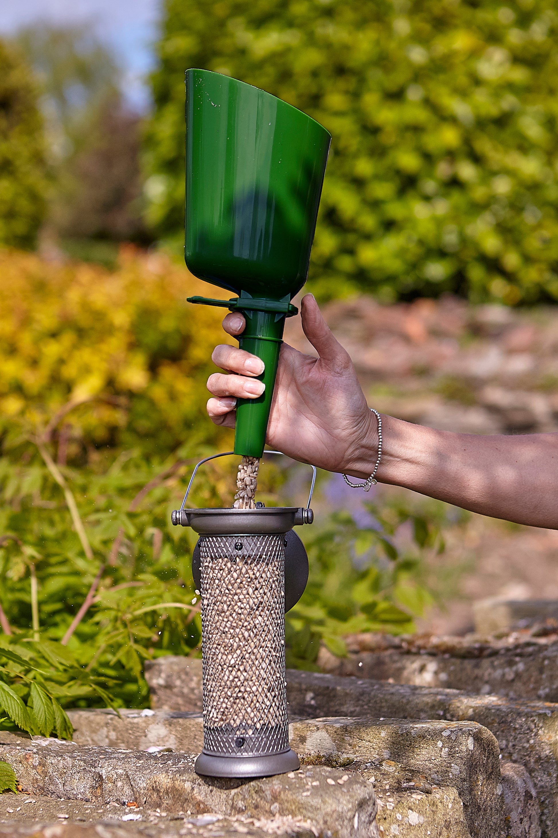 Tom Chambers Seed Scoop