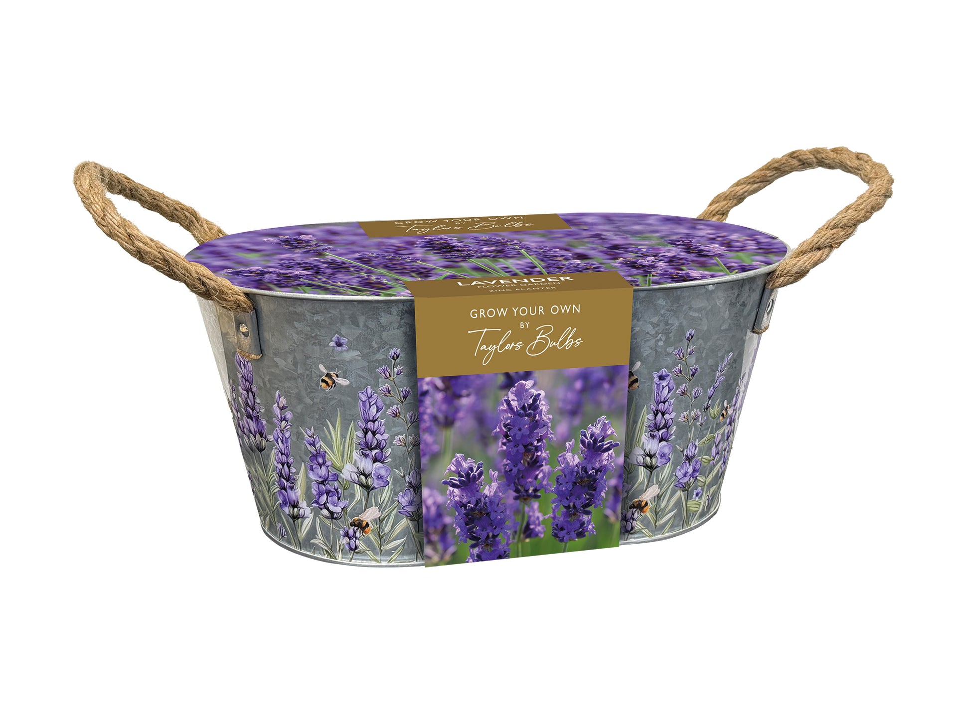 Taylors Bulbs Lavender Zinc Planter kit featuring a decorative metal trough with rope handles and an illustrated lavender design, presented as a complete grow kit.</p>