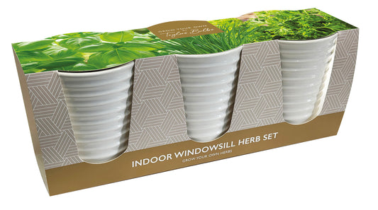 Taylors Bulbs - Windowsill Ceramic Herb Pots