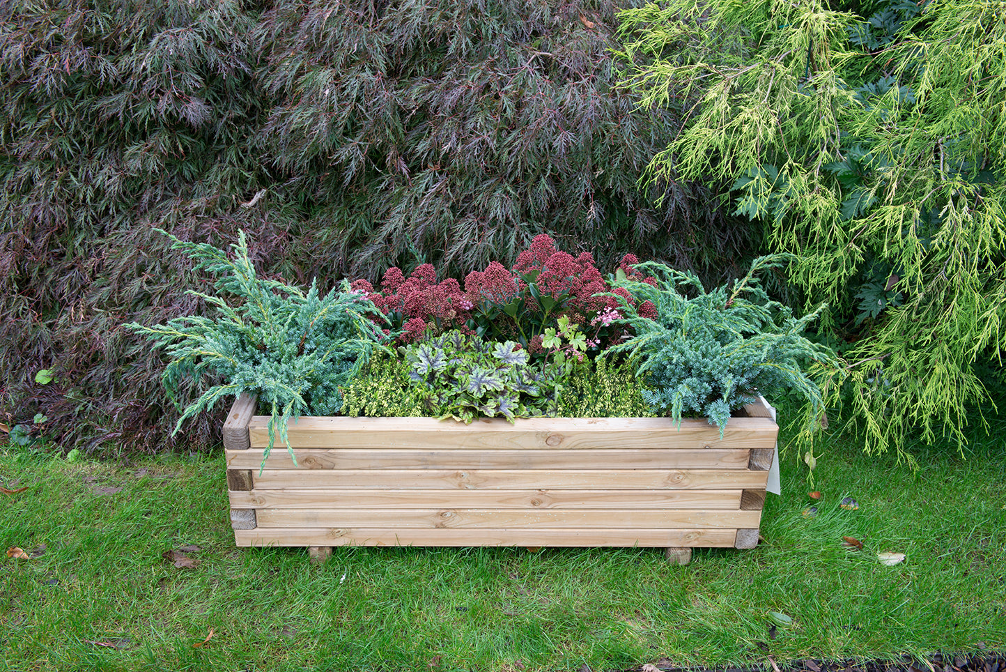 Forest Garden Agen Planter