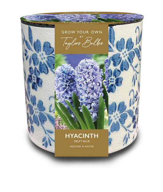 Taylors Bulbs - Vintage Blue Floral Ceramic Planter