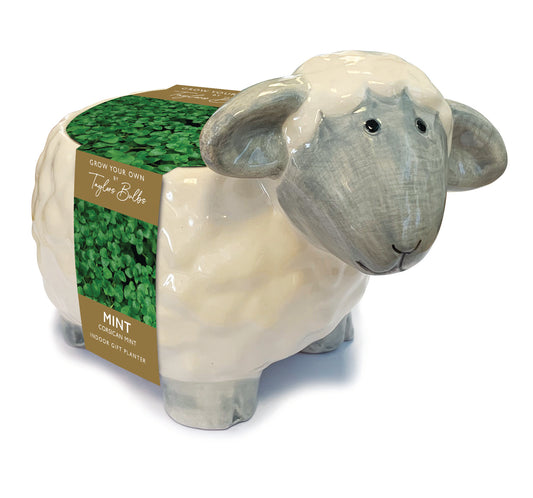 Sheep Planter