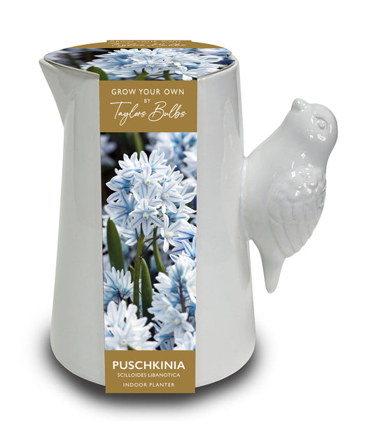 Taylors Bulbs - Luxury Bird Handle Jug