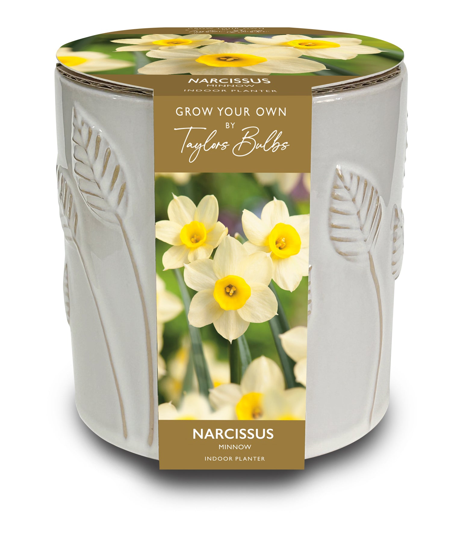 Taylors Bulbs Narcissus Minnow Embossed Ceramic Leaf Planter kit featuring a glossy white ceramic pot with raised leaf detailing and an image of blooming yellow and cream daffodils.