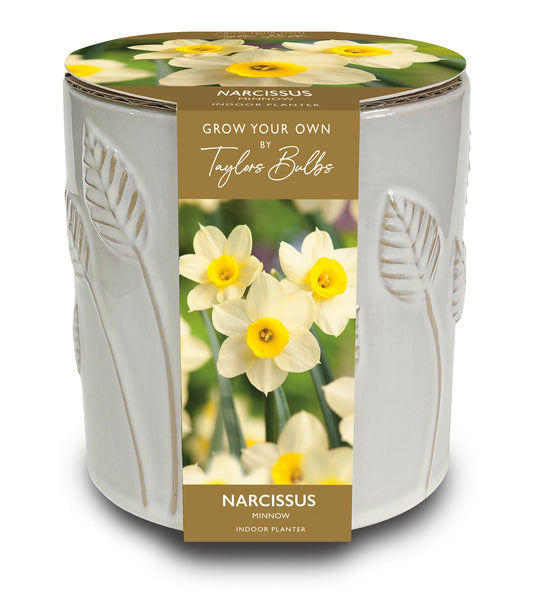 Taylors Bulbs Narcissus Minnow Embossed Ceramic Leaf Planter kit featuring a glossy white ceramic pot with raised leaf detailing and an image of blooming yellow and cream daffodils.
