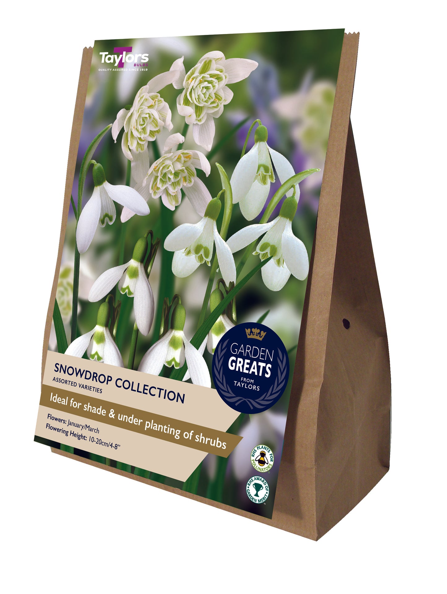 Pre Packs Snowdrop Collection Gg