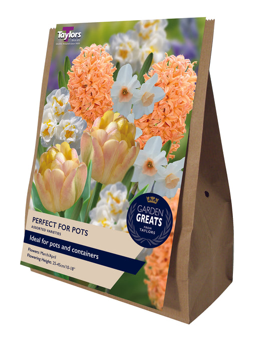 Garden Greats Perfect for Pots Assorted Varieties