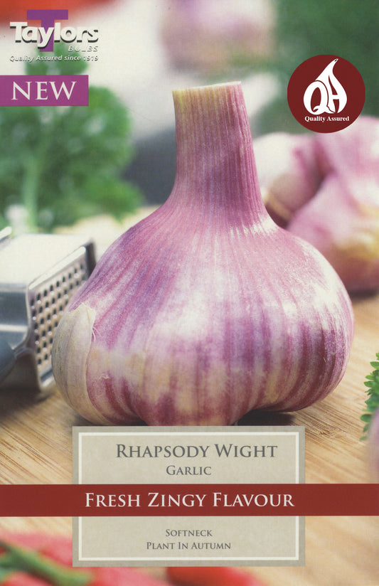 Rhapsody Wight Garlic 1-Bulb