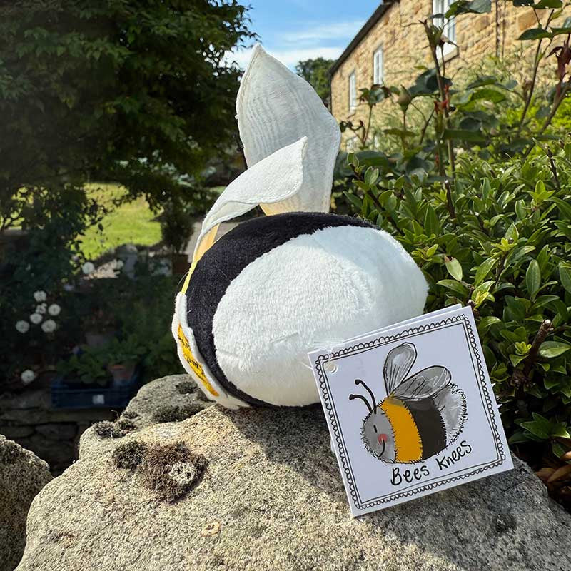 Alex Clark Birthday Bee Soft Toy