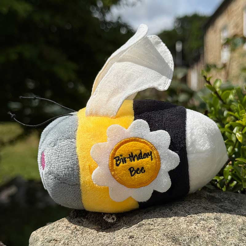 Alex Clark Birthday Bee Soft Toy