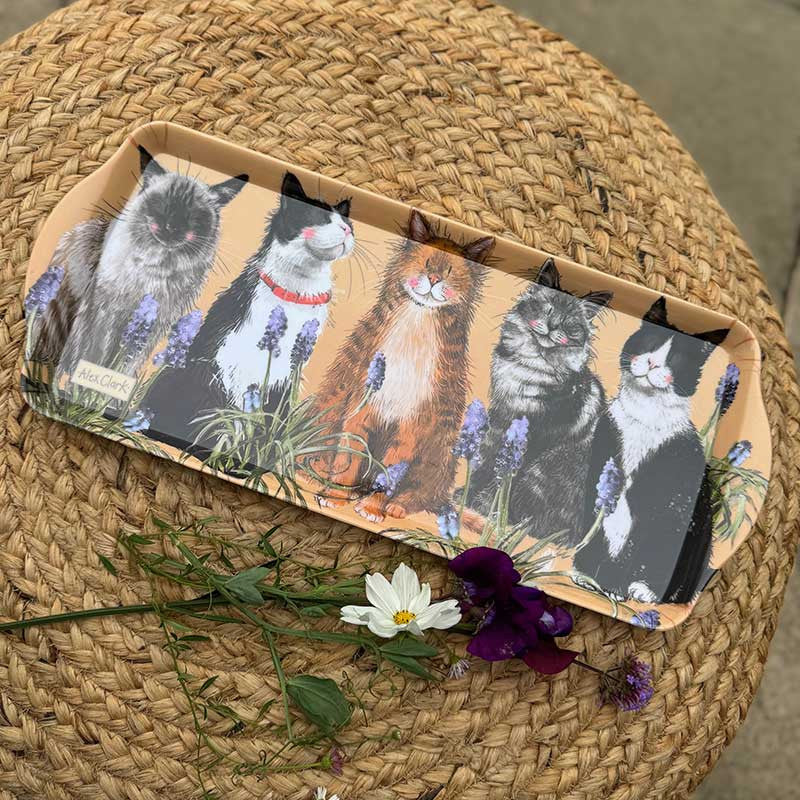 Alex Clark Cats Medium Melamine Tray