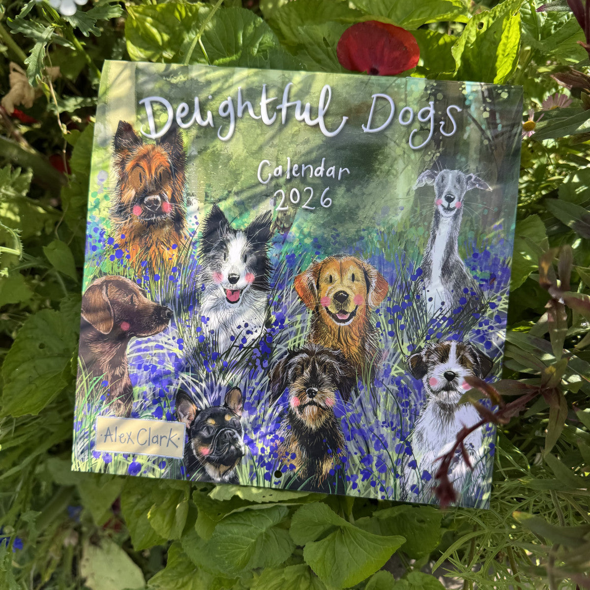 Alex Clark Delightful Dogs Calendar 2026