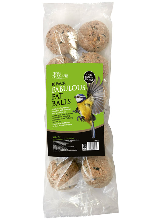 Tom Chambers 10 Pack Fat Balls