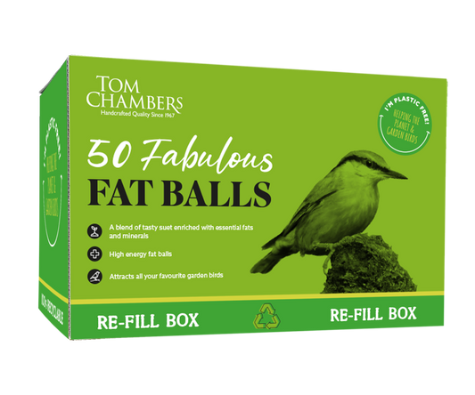 Tom Chambers Fabulous Fat Balls Box of 50