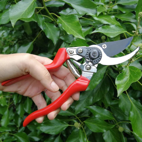 Burgon & Ball RHS Endorsed Left-handed Bypass Secateurs