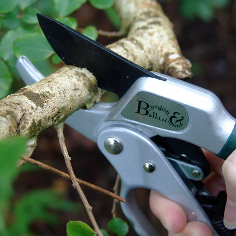 Burgon & Ball Ratchet Pruner