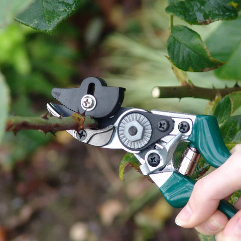 Burgon & Ball Rose Pruner