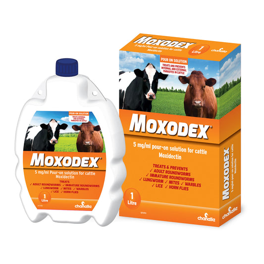 Moxodex 5 mg/ml Pour-on Solution for Cattle