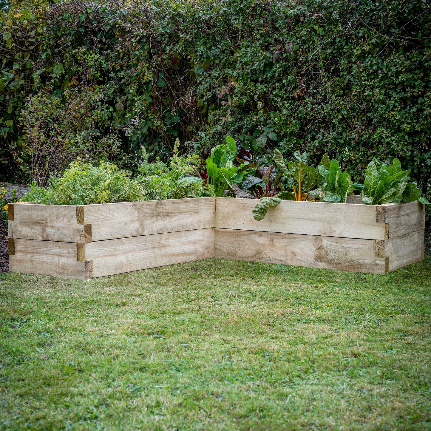 Forest Garden Caledonian Corner Raised Bed 130 X 130cm