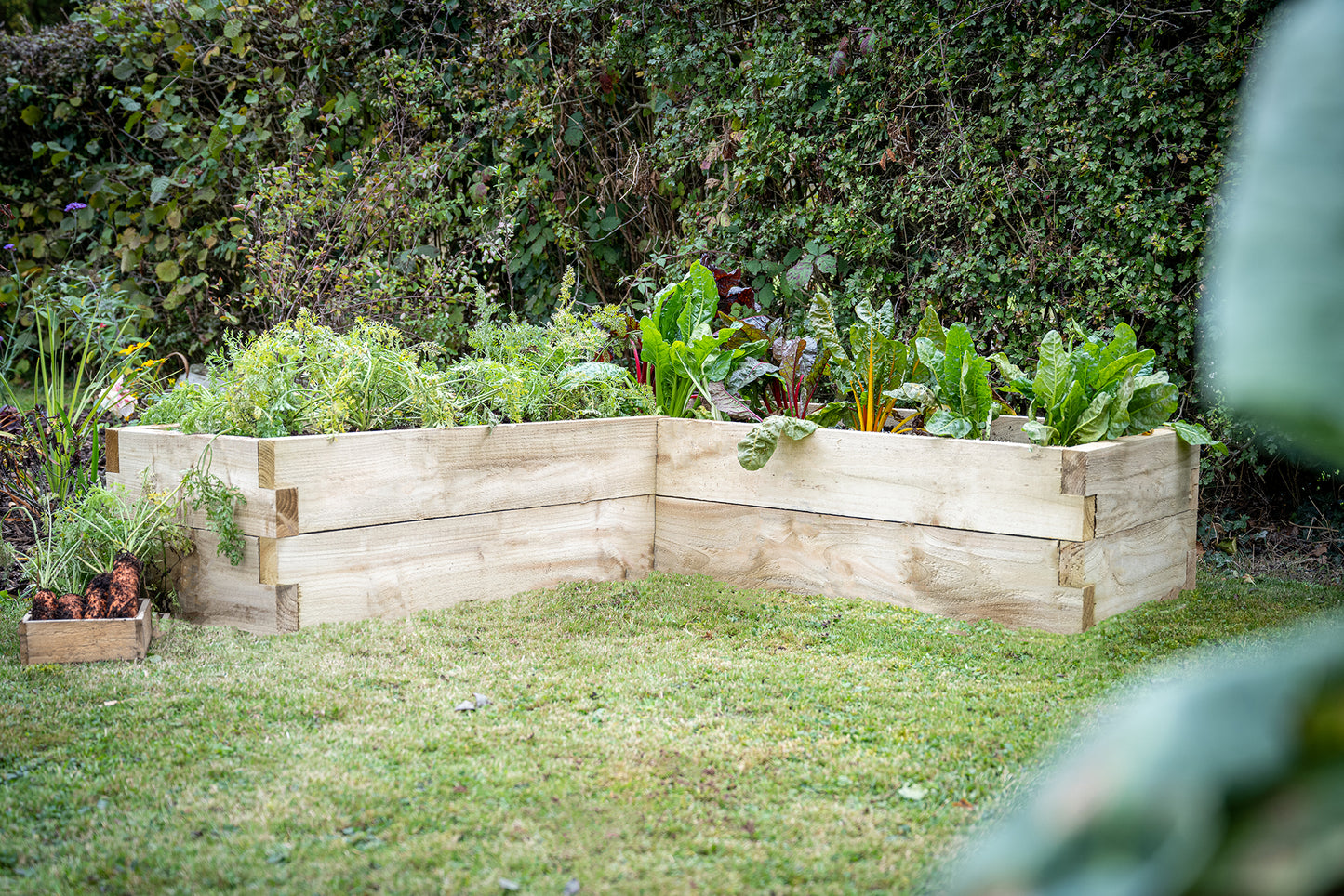 Forest Garden Caledonian Corner Raised Bed 130 X 130cm