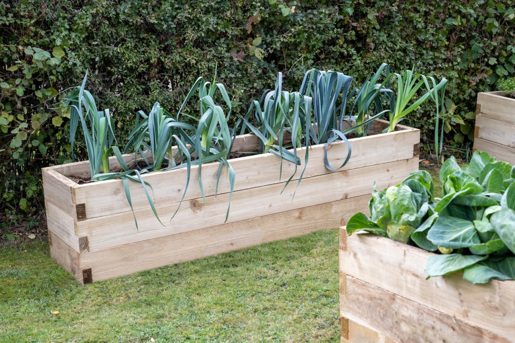 Forest Garden Caledonian Trough Raised Bed 45 X 180cm