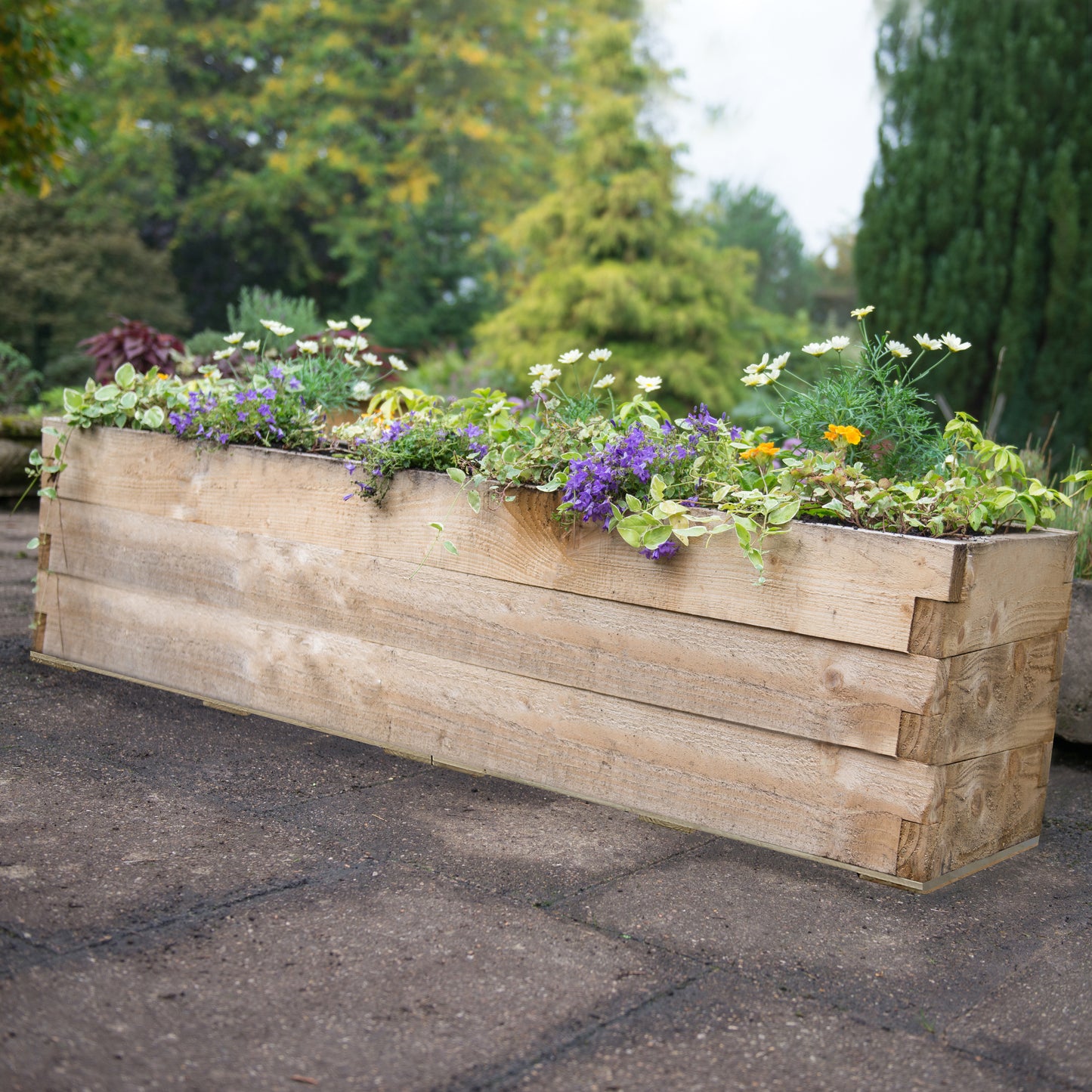 Forest Garden Caledonian Trough Raised Bed