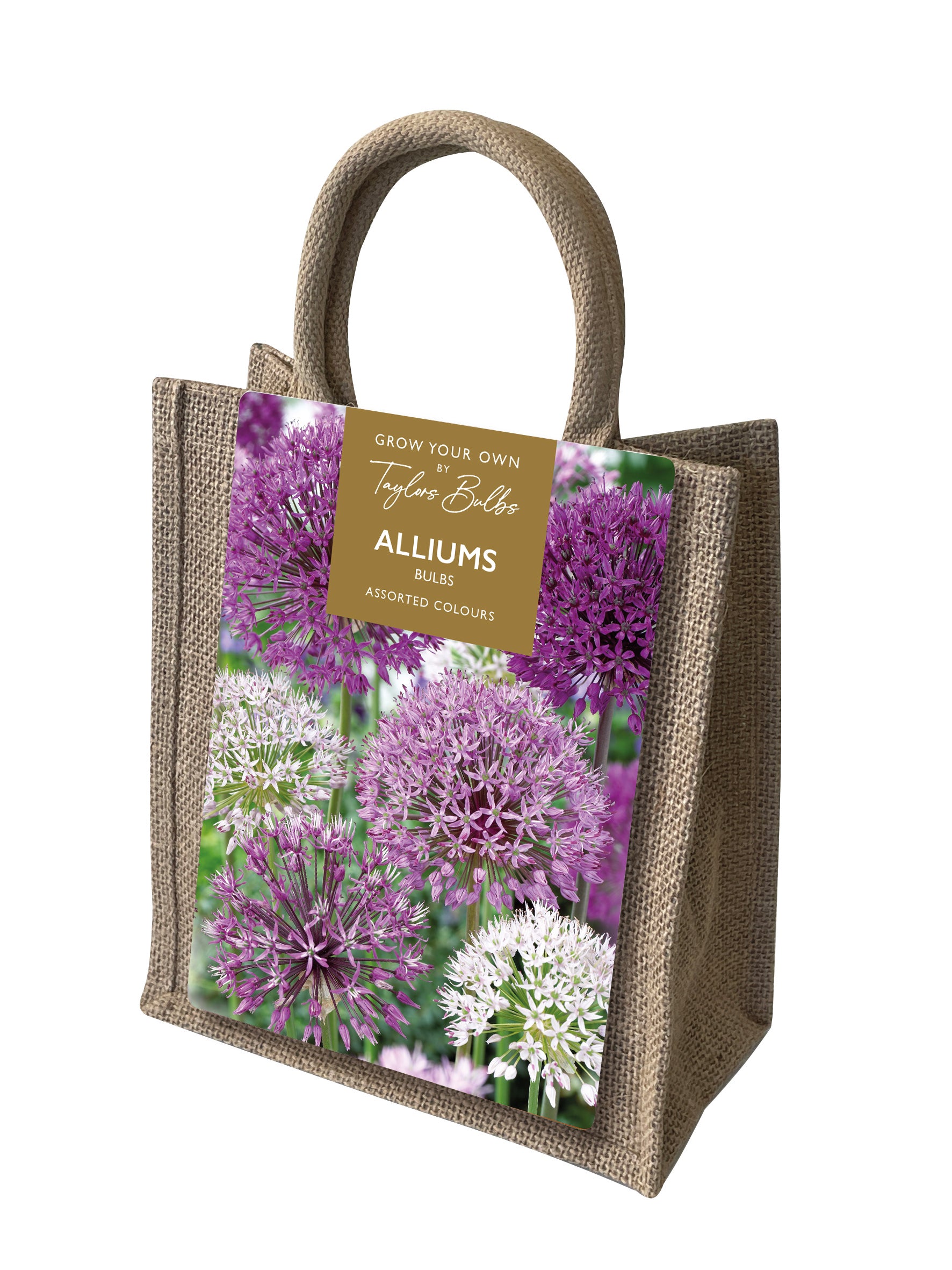 Taylors Bulbs - Allium Jute Gift Bag - 10-12