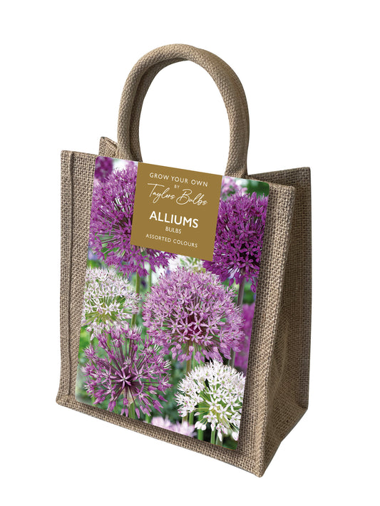 Taylors Bulbs - Allium Jute Gift Bag - 10-12