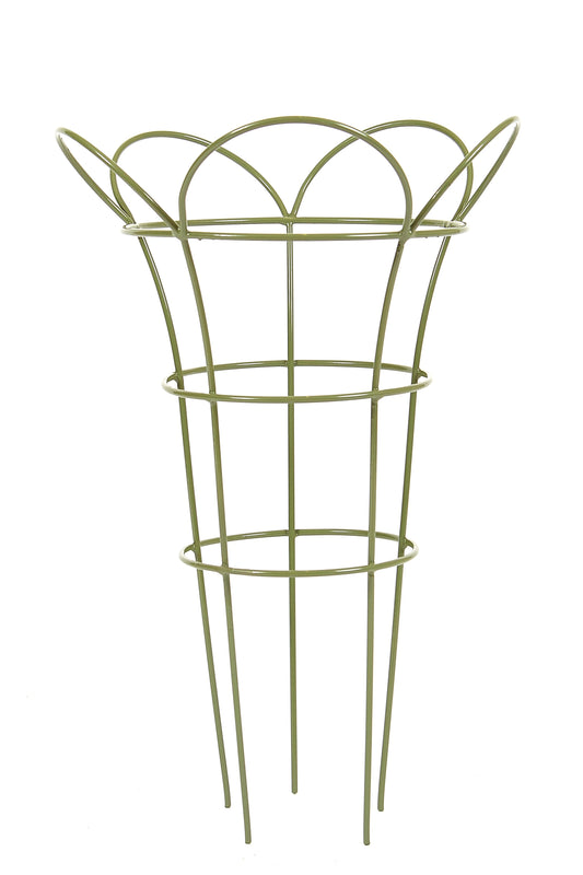 Tom Chambers Cottage Garden Herbaceous Basket