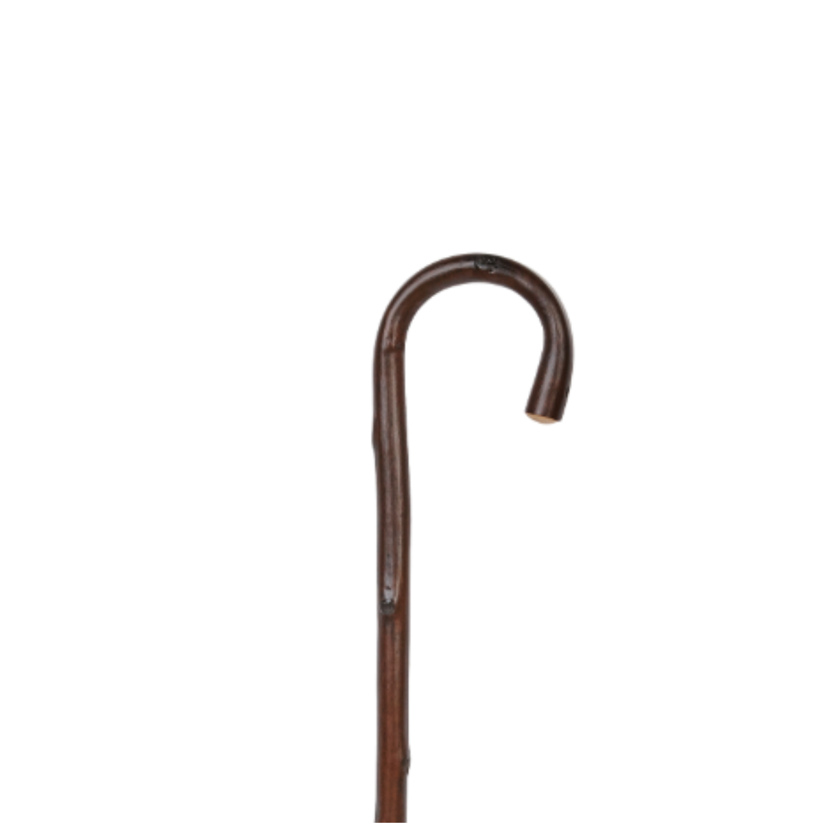 Charles Buyers ladies chestnut wooden walking stick with traditional steam-bent crook handle and fitted metal ferrule