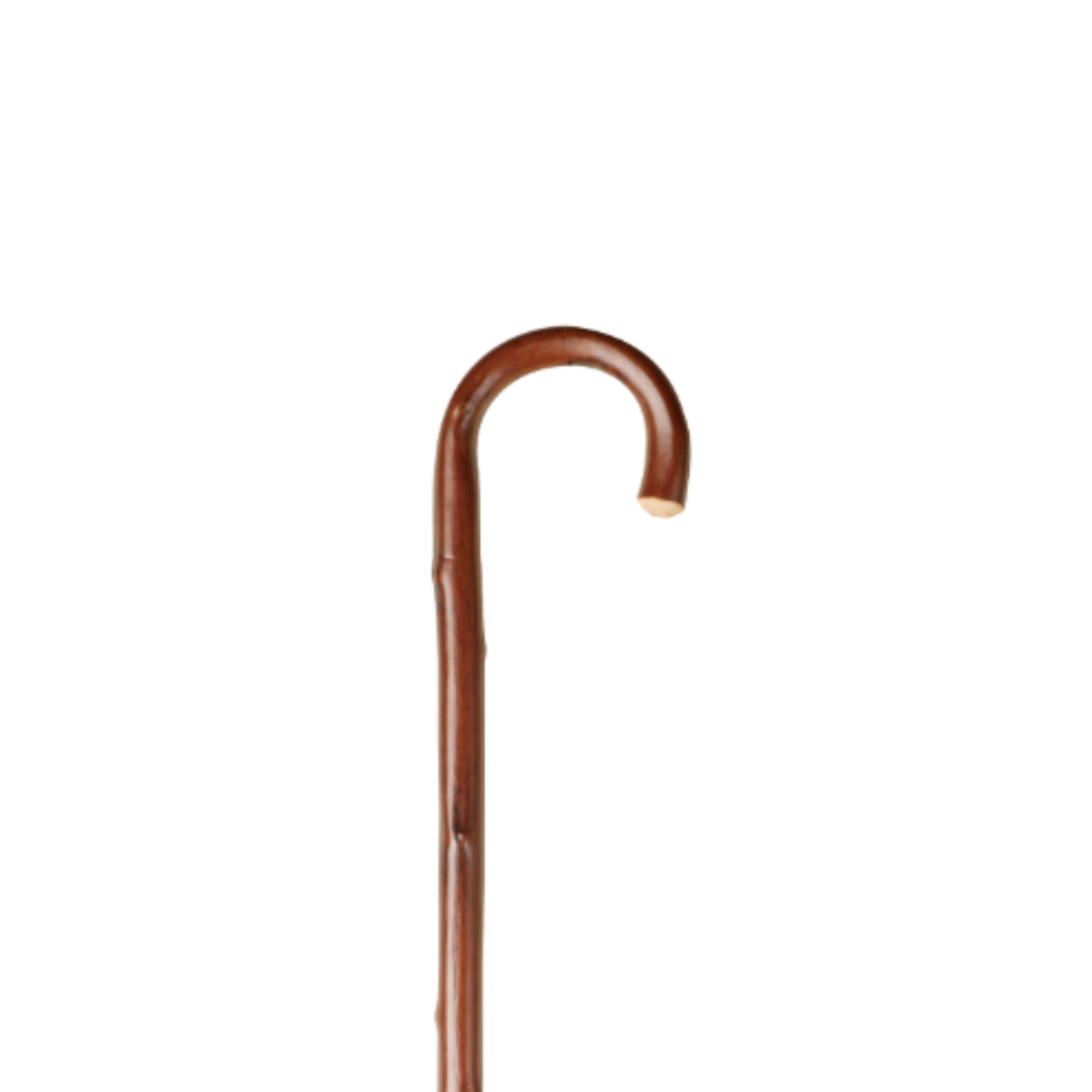 Charles Buyers gents economy extra long natural chestnut walking stick with traditional curved crook handle and protective metal ferrule