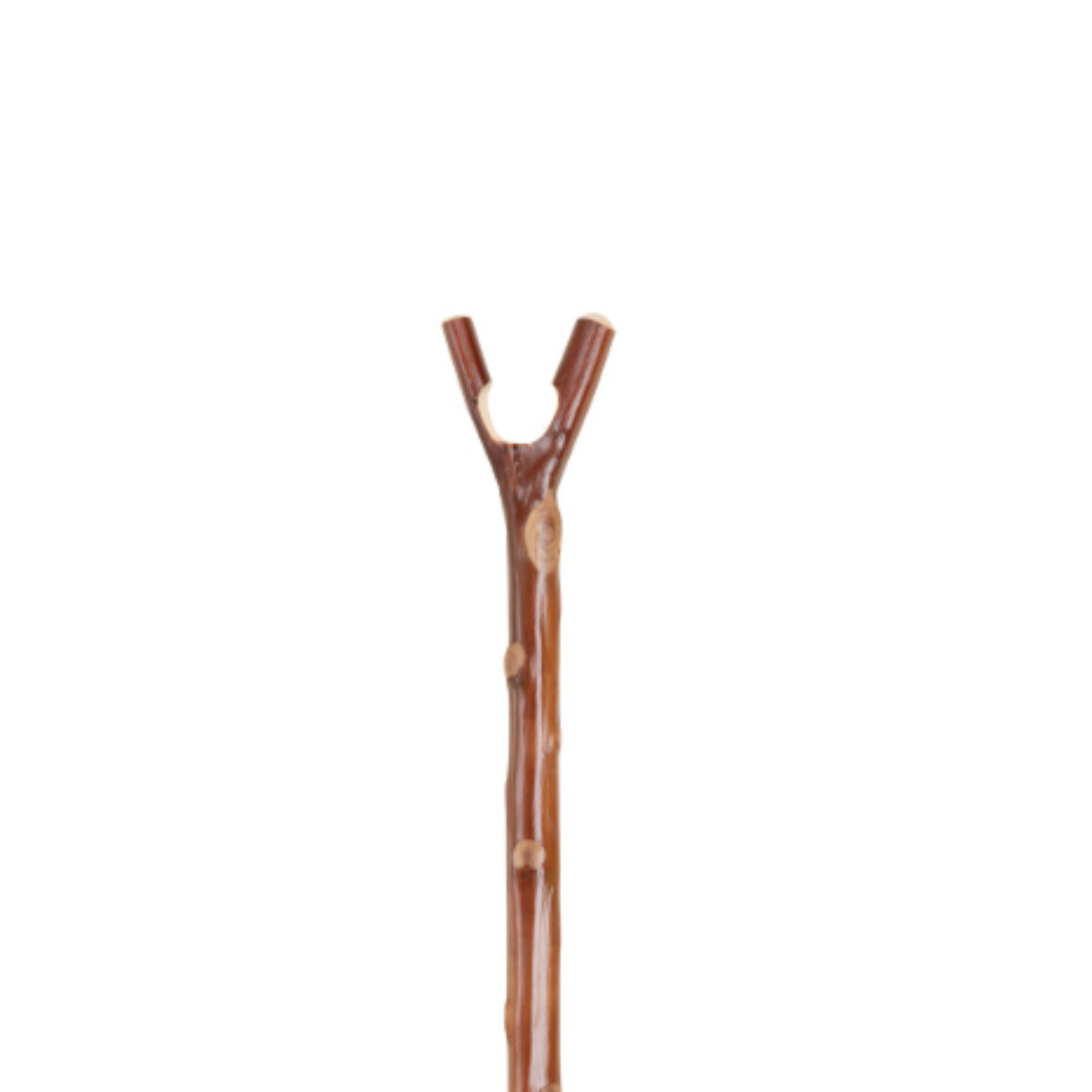 Charles Buyers rustic natural chestnut wooden walking stick featuring a carved thumb notch V-handle and protective metal tip