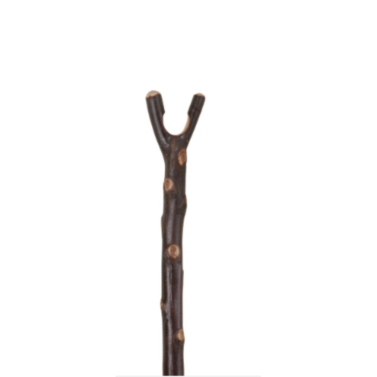 Charles Buyers natural chestnut walking stick with rustic bark finish, carved V-shaped thumb notch, and metal tip