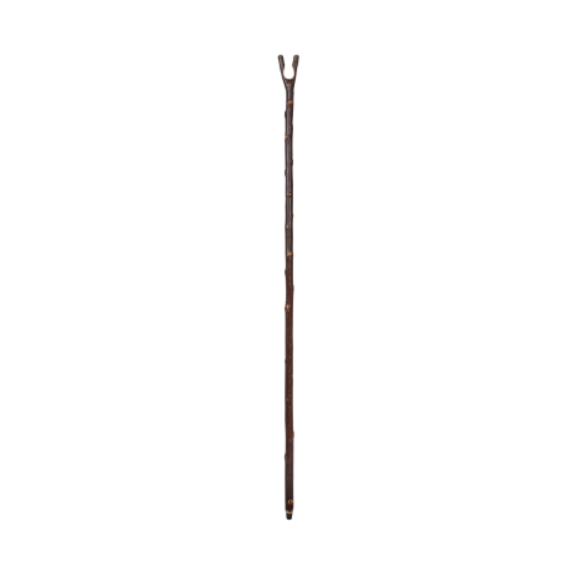 Charles Buyers natural chestnut walking stick with rustic bark finish, carved V-shaped thumb notch, and metal tip