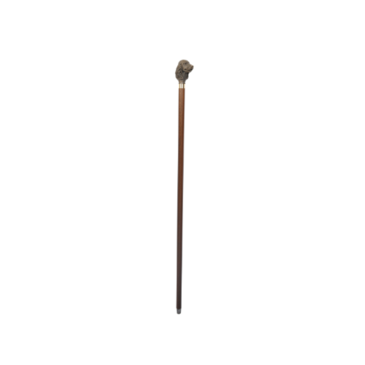 Charles Buyers Cocker Spaniel moulded top collectors walking stick featuring a detailed resin dog head handle and polished wooden shaft