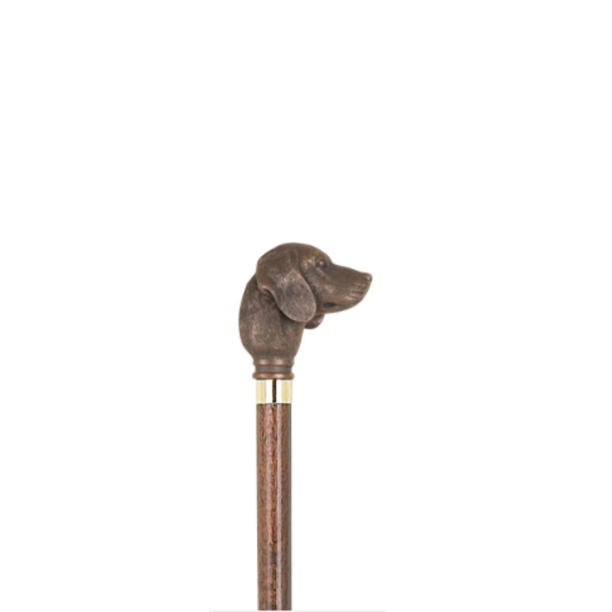 Charles Buyers Golden Retriever moulded top collectors walking stick with detailed resin dog head handle and polished wooden shaft
